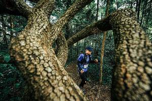 BIB: 
                            <button type="button" onclick="openModal(25394304)" class="btn btn-primary btn-sm float-right btn-popup" data-toggle="modal" data-target=".modal-high-quality">
                        <i class="fas fa-shopping-cart"></i> Add to Cart
                    </button>
                                            <button type="button" onclick="isThisMe(25394304, true)" class="btn btn-success btn-sm float-right btn-popup btn-isme hidden" data-toggle="tooltip" data-placement="bottom" title="นี่คือรูปของคุณใช่ไหม คลิกที่นี่เพื่อเอาเข้าอัลบั้ม">
                        <i class="fas fa-plus"></i> Add to album
                    </button>
                    <button type="button" onclick="isThisMe(25394304, false)" class="btn btn-warning btn-sm float-right btn-popup btn-isnotme hidden">
                        <i class="fas fa-ban"></i> Remove from album
                    </button>